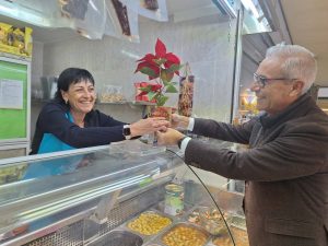 Mercavalència inicia la entrega de 400 plantas de Navidad en los mercados municipales