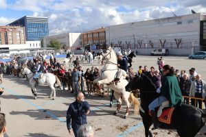 Llíria celebra la fiesta de Sant Antoni